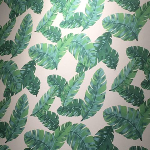 papel de parede com folhas de bananeiras verdes