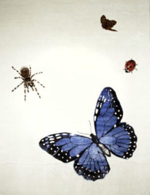 Tapete com insetos estampados e uma borboleta azul grande. Da By Kami tapetes.