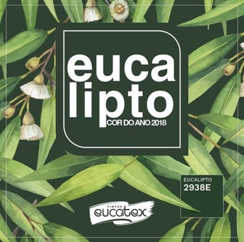 Foto da cor de 2018 eleita pelas tintas Eucatex, verde Eucalipto.
