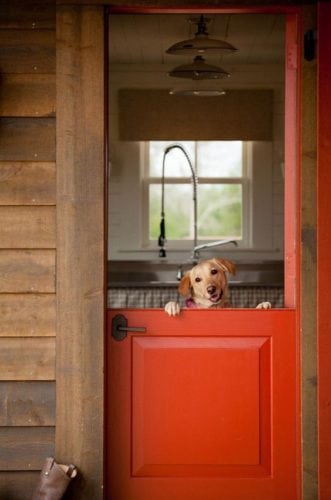 A porta holandesa também é chamada de "Dutch Door". Porta divida ao meio, praticidade para quem tem cachorro.