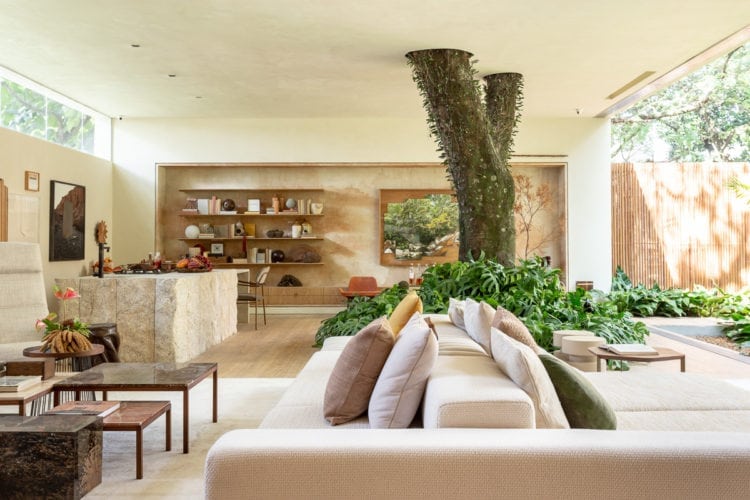 Sala de estar com sofa e tronco de arvore no meio de suite arquitetos para casacor sp 2018 tendencias 2019