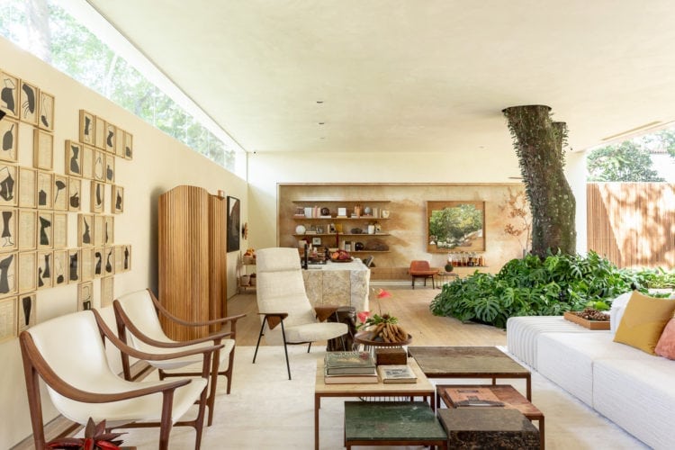 Um imponente Flamboyant incorporado à área de estar junto com móveis de design nacional, na mostra Casa Cor SP. Suite arquitetos.