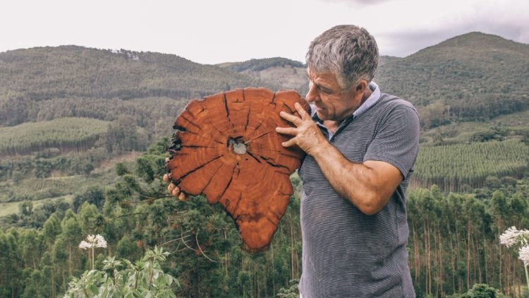 Luis Vieira com madeiras Cortes da Terra, obras do artesão Luiz Vieira