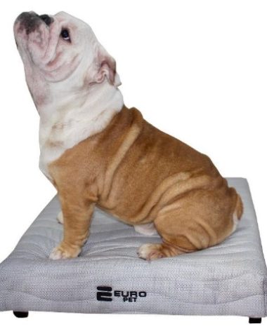 Cachorro em cima do Europet colchão