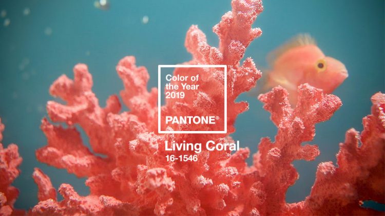 A cor de 2019 pela Pantone: Living Coral