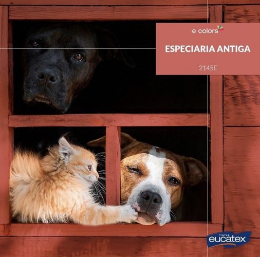 Casinha de cachorro pintado com a cor do ano de 2019 da Eucatex Tintas,Especiaria Antiga, uma cor rosácea.