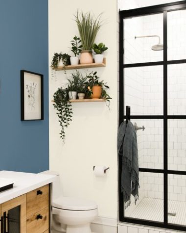 cor sonho distante da sherwin williams