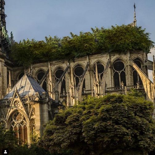 proposta de antoniel felainne para a reconstrução da Notre Dame