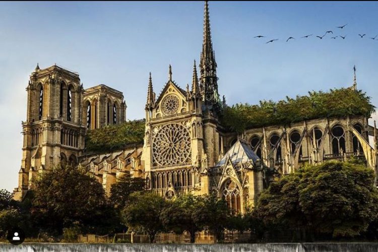 Projeto de Antoniel Felainne para a reconstrução da Notre Dame
