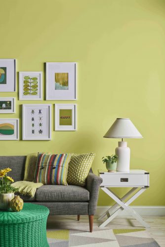 Verde cítrico é a cor do mês de agosto da Sherwin-Williams; parede de fundo do sofá cinza pintada com verde cítrico .
