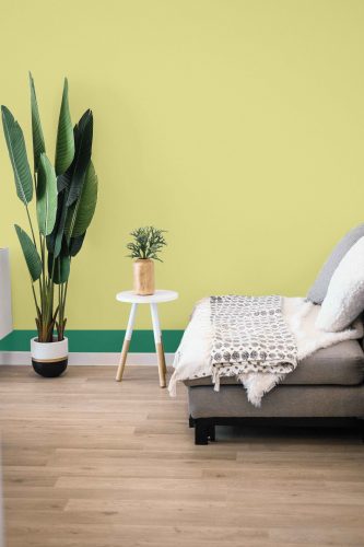 Verde cítrico é a cor do mês de agosto da Sherwin-Williams. Piso de madeira, vaso de planta, sofá cinza e a parede ao fundo pintada de verde cítrico com rodapé verde escuro.