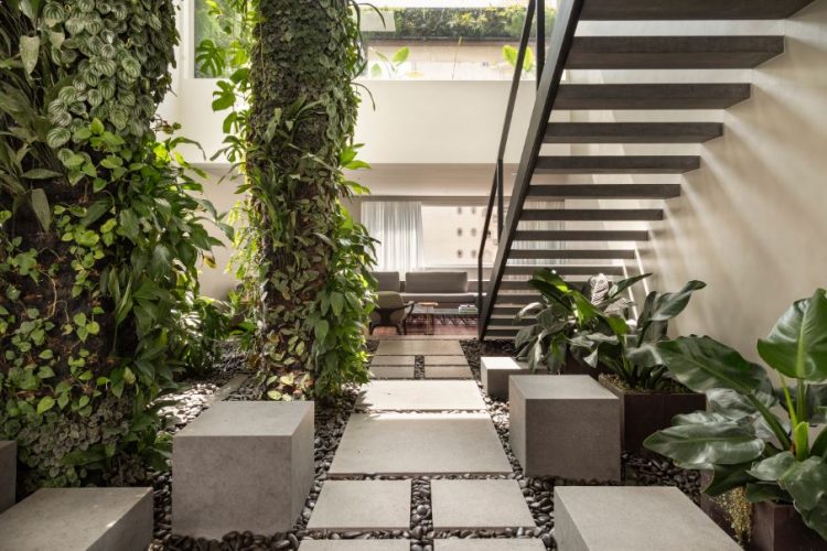 Design Biofílico: Arquitetura que transforma a sua vida. Jardim interno de uma casa com colunas de plantas 