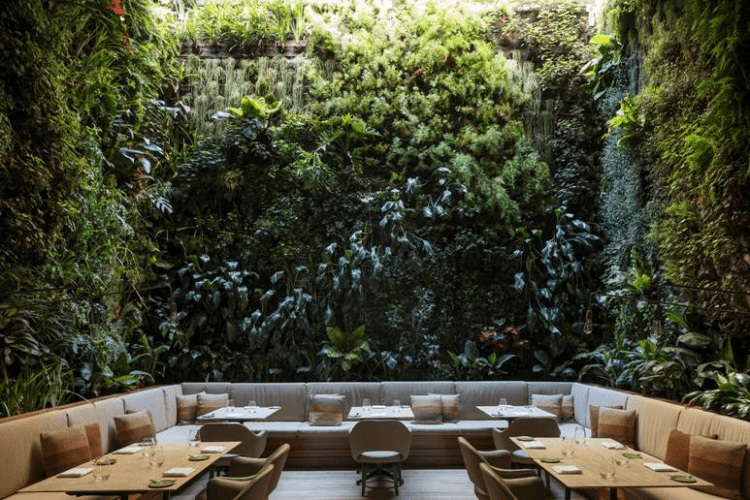 Design Biofílico: Arquitetura que transforma a sua vida. Restaurante com uma enorme parede verde em volta. 