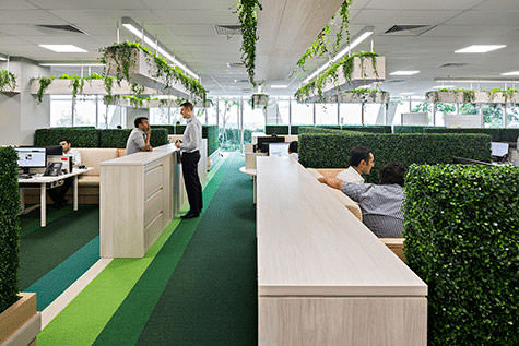 Design Biofílico: Arquitetura que transforma a sua vida. Ambiente corporativo com plantas e tapete verde.