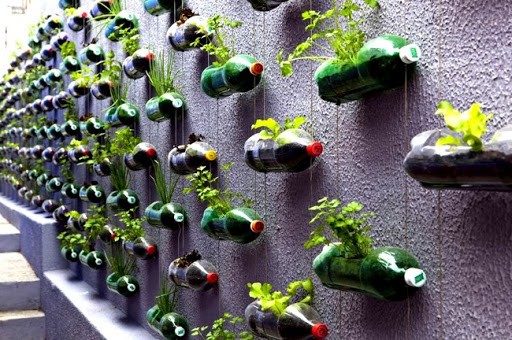 Transforme (parte da) sua sacada em uma horta.Muro repleto de garrafas pets recotratas e penduradas com ervas plantadas 