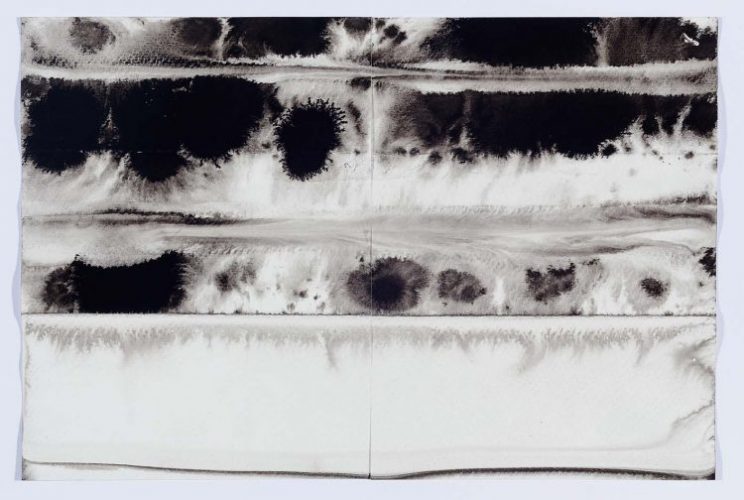 Desenhos em preto e branco feito com agua e nankim, artista plástica Paula Klien