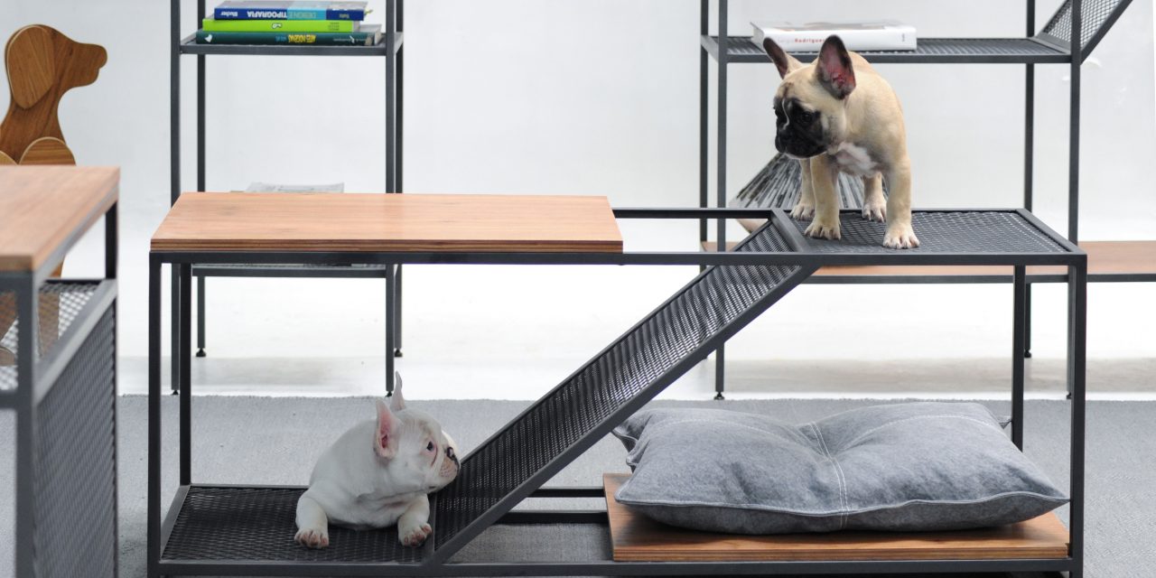 Linha de móveis em estilo industrial pensada para pets