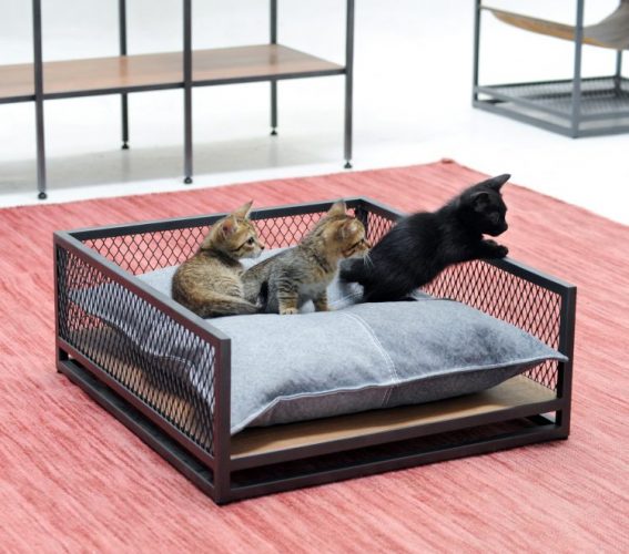 Linha de móveis em estilo industrial pensada para pets, quadrado em aço e uma almodafa no meio e tres filhotes de gato