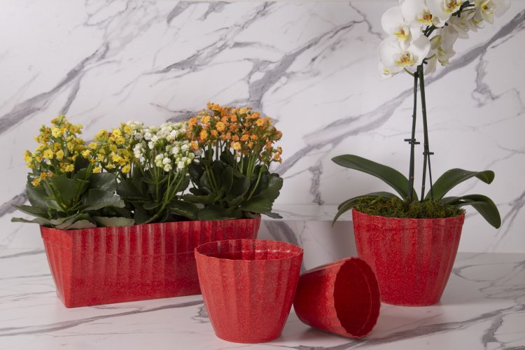 Vasos de plantas reciclavies, na cor vermelha, redondo com um orquidea e retangular com kalanchue