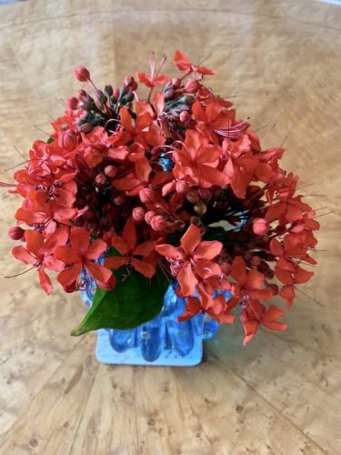 Vaso de flor azul com flores vermelhas