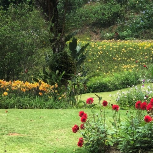 Jardim com canteiros de flores vermelhas e amarelas 