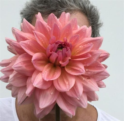 O arquiteto de dedo verde , Jimmy Bastian Pinto com uma flor em frente ao rosto