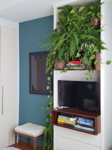 Movel estreito alto na coe branca com plantas e tv