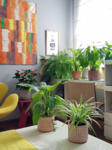 O assessor de imprensa carioca Marcelo Guidine abre seu apartamento com exclusividade para a Conexão Décor. Sala com varias cachepots com plantas, estilo de decoração Urban Jungle