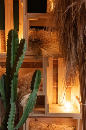 Hamburgueria decorada em clima Texano. Cactos e caixotes enfeitam a entrada