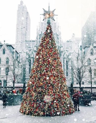 Árvore de Natal do Hotel Lotte New York Palace, em NY. Do lado de fora do hotel, nevando .