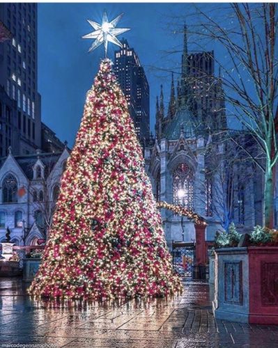 Árvore de Natal do Hotel Lotte New York Palace, em NY. Na frente da praça do hotel, bem grande iluminada