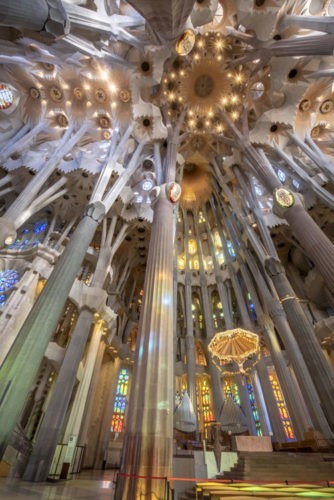 Teto da Sagrada Familia em Barcelona