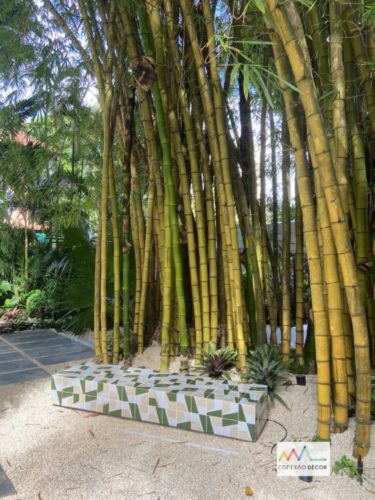 Um jardim com bambuzal e um banco de azulejos nas cores verde e branco em frente