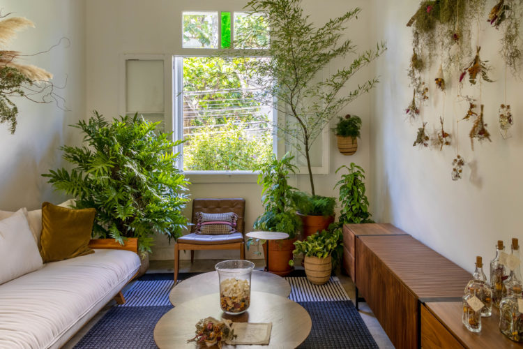 Atelier Botânico - loja carioca reabre com mostra de plantas e a participação de dez paisagistas e floristas. Sala com sofá claro e aparador de madeira, e vários arranjos de plantas
