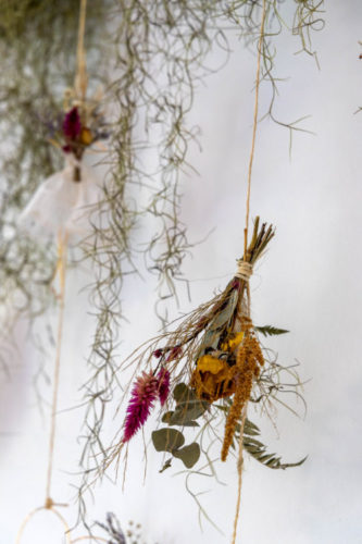Atelier Botânico - loja carioca reabre com mostra de plantas e a participação de dez paisagistas e floristas