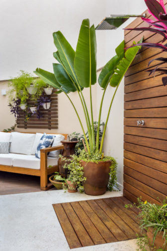 Apartamento térreo com ares de casa, área externa com deck em madeira no piso e na parede delimitando o espaço do chuveiro, ao lado um vaso com palmeira