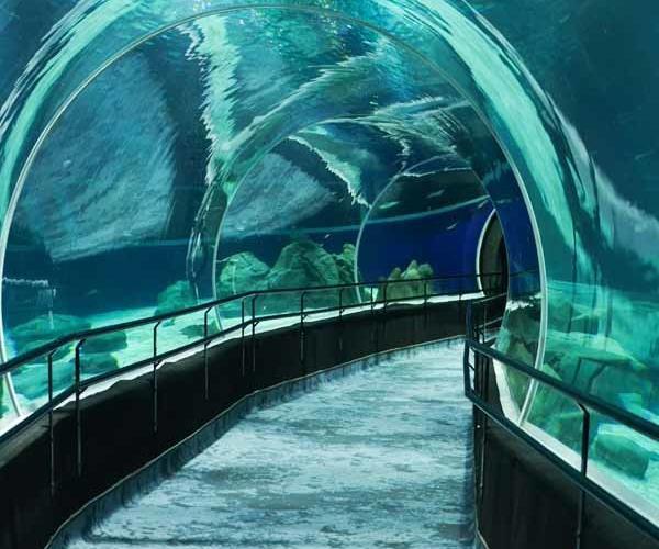 Foto do túnel no meio de uma grande aquário, no Acqua Rio
