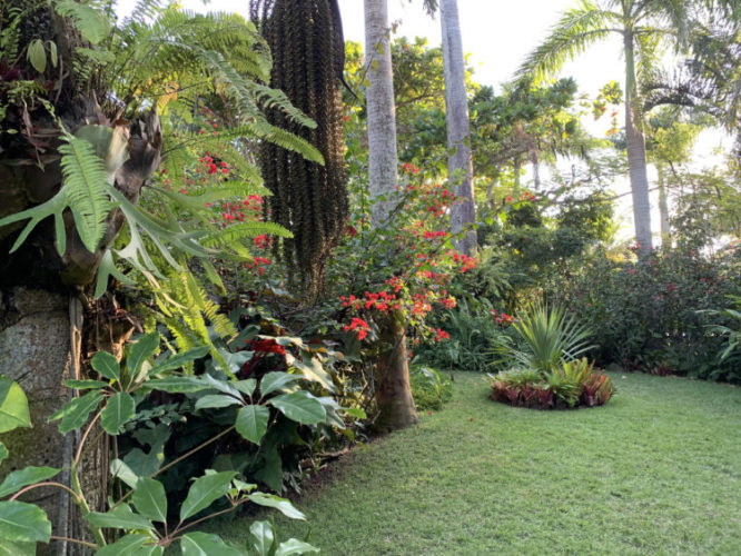 1400m2 de jardins exuberantes na Região dos Lagos no Rio. Gramado com bromélias e palmeiras 