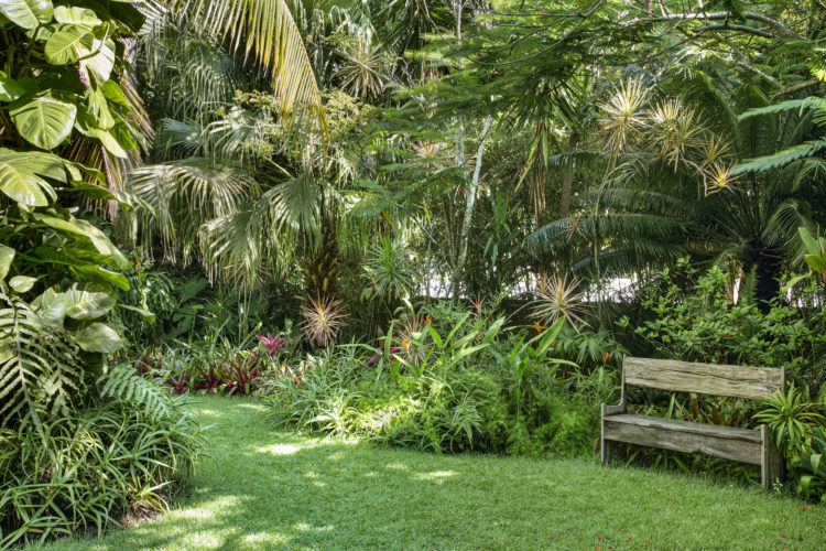 1400m2 de jardins exuberantes na Região dos Lagos no Rio. Gramado com vegetação por todos os lados e um banco de madeira 