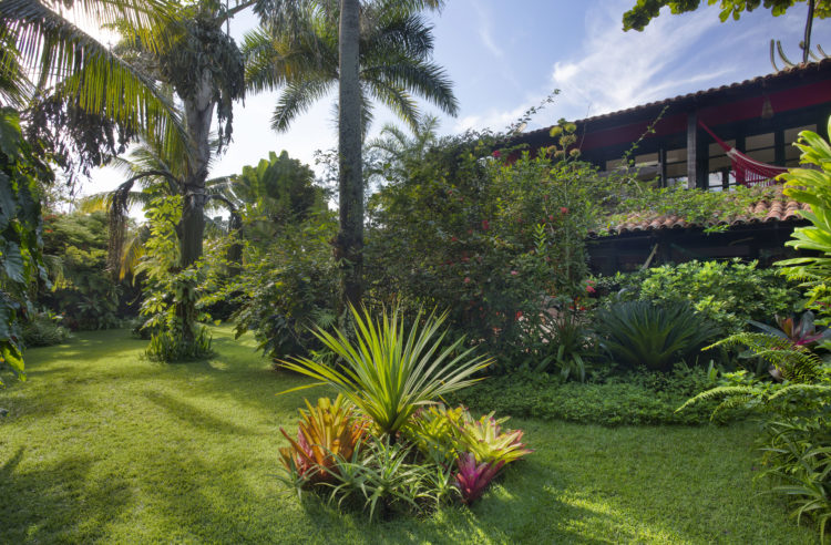 1400m2 de jardins exuberantes na Região dos Lagos no Rio. Gramado extenso com palmeiras e bromélias que camuflam a casa 