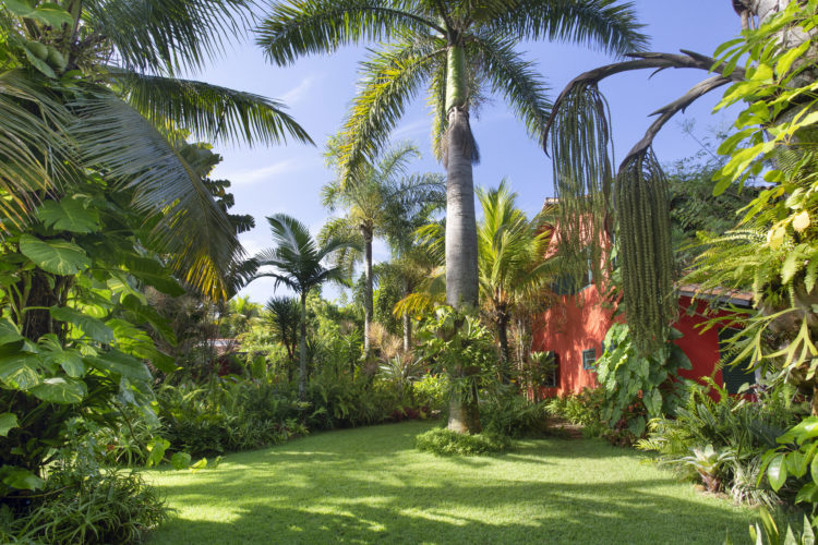 1400m2 de jardins exuberantes na Região dos Lagos no Rio. Gramado com uma grande palmeira e vegetação dos lados. Ao fundo a casa , com a fachada pintada de laranja