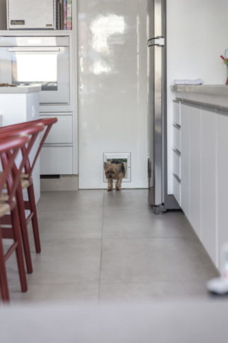 Dicas de como deixar o lar confortável para seus pets. a passagem entre a área de serviço para a cozinha foi adaptada para o pet 