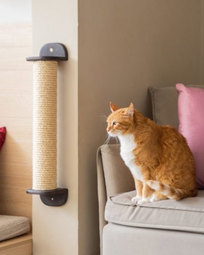Um arranhador especial para gatos instalado em uma parede ao lado do sofá com tecido especial.