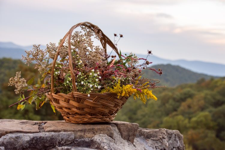 Uma cesta de vime com flores ao ar livre com vista para as montanhas