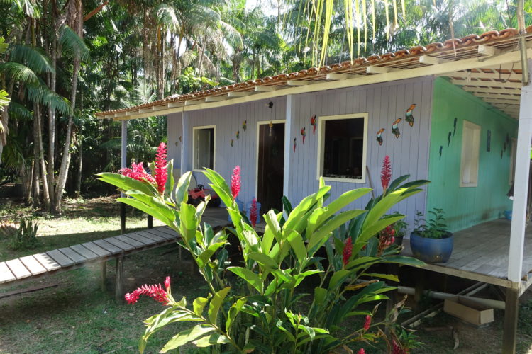 Casa na vila dos pescadores em Belém do Pará. Alta do chão e floresta em torno.