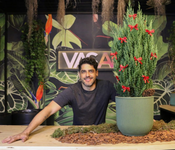 O jardineiro Fernando Araújo, da Vasart, após a finalização do plantio de uma árvore de Natal natural em um vaso.