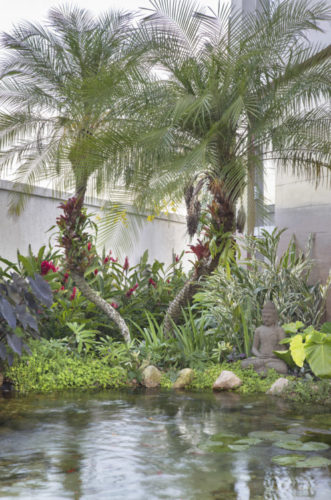 Lago artificial, com carpas e ninfeias, em meio a um jardim de uma casa no Rio de Janeiro, com a estatua de Buda na canto.