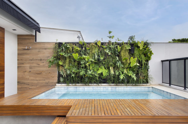 Clean, confortável e divertida a cobertura duplex que o arquiteto Tom Castro projetou para os gêmeos, donos do restaurante Noa Ipanema. Parede verde ao fundo da piscina