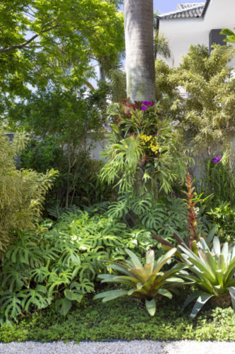 Paisagismo tropical com muitas folhagens, texturas e variedade de vegetação na área externa em uma casa na Barra (RJ)