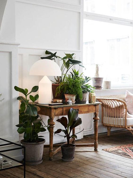 Alguns vasos de plantas em cima de uma mesa de madeira, ao lado do sofá. Decoração em tons suaves